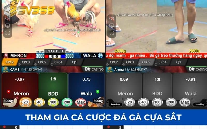 Các bước tham gia chơi cá cược đá gà cựa sắt tại SV368 Các bước tham gia chơi cá cược đá gà cựa sắt tại SV368