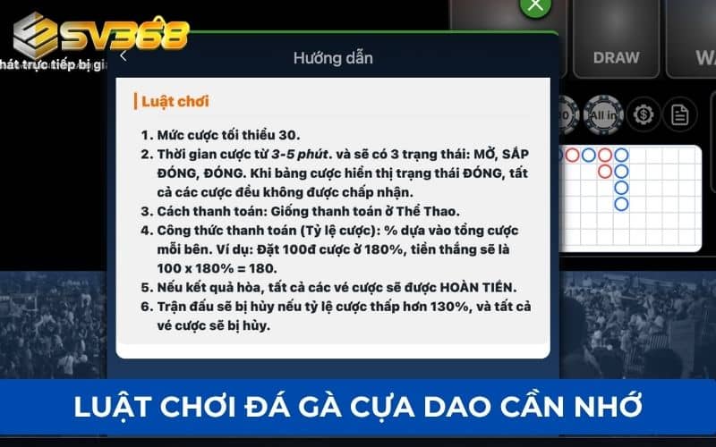 Các luật chơi cơ bản cần nhớ khi tham gia cá cược đá gà cựa dao Các luật chơi cơ bản cần nhớ khi tham gia cá cược đá gà cựa dao